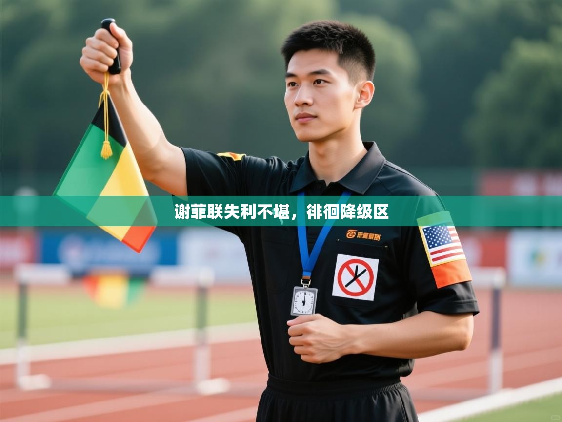 谢菲联失利不堪，徘徊降级区