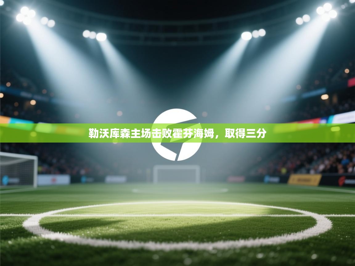 勒沃库森主场击败霍芬海姆，取得三分  第1张